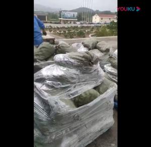 無花果、蘋果、梨、桃、杏葡萄處理生產(chǎn)線